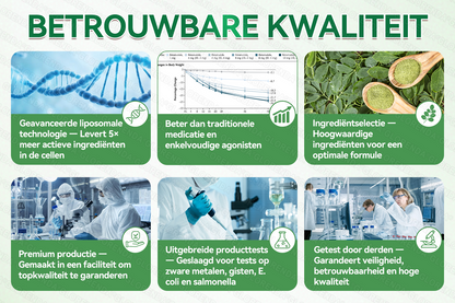 | Officiële 🇳🇱originele winkel | 🧑‍⚕️🌿 𝐇𝐞𝐚𝐥𝐫𝐢𝐳𝐞® Moringa · Berberine + NAD+ 10-in-1 Nano Micronaald Patch – 1× per dag, zichtbare resultaten binnen 7 dagen | Voor obesitas, huid, diabetes, slaapapneu en gewrichten