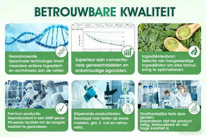 Officiële winkel | 🌿🌿  𝐂𝐥𝐞𝐚𝐫𝐞𝐧𝐚® Moringa · Berberine + NAD+ – 10-in-1 Geavanceerde Nano Micronaald Patch (slechts 1× per dag, zichtbare veranderingen binnen 7 dagen) | Voor obesitas, losse huid, diabetes, slaapapneu, gewrichtsproblemen en meer